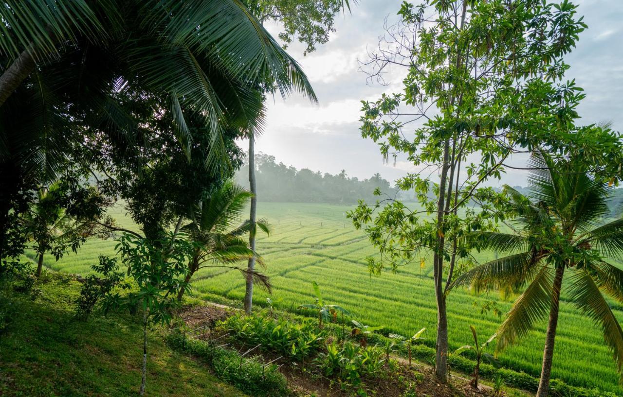 Villa Alba - อาฮานกามา ภายนอก รูปภาพ