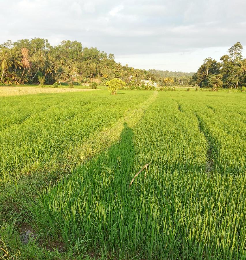Villa Alba - อาฮานกามา ภายนอก รูปภาพ